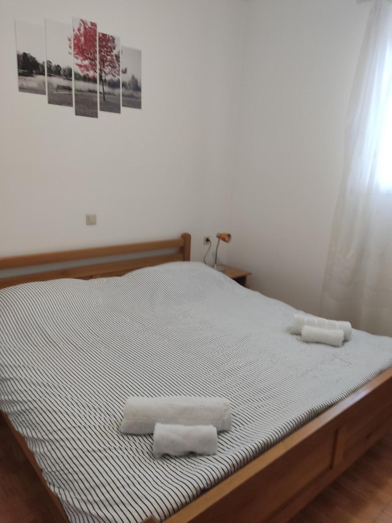Apartments Ivana Lovište エクステリア 写真
